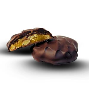 SF dark pecan turtle