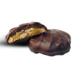 dark chocolate SF turtle