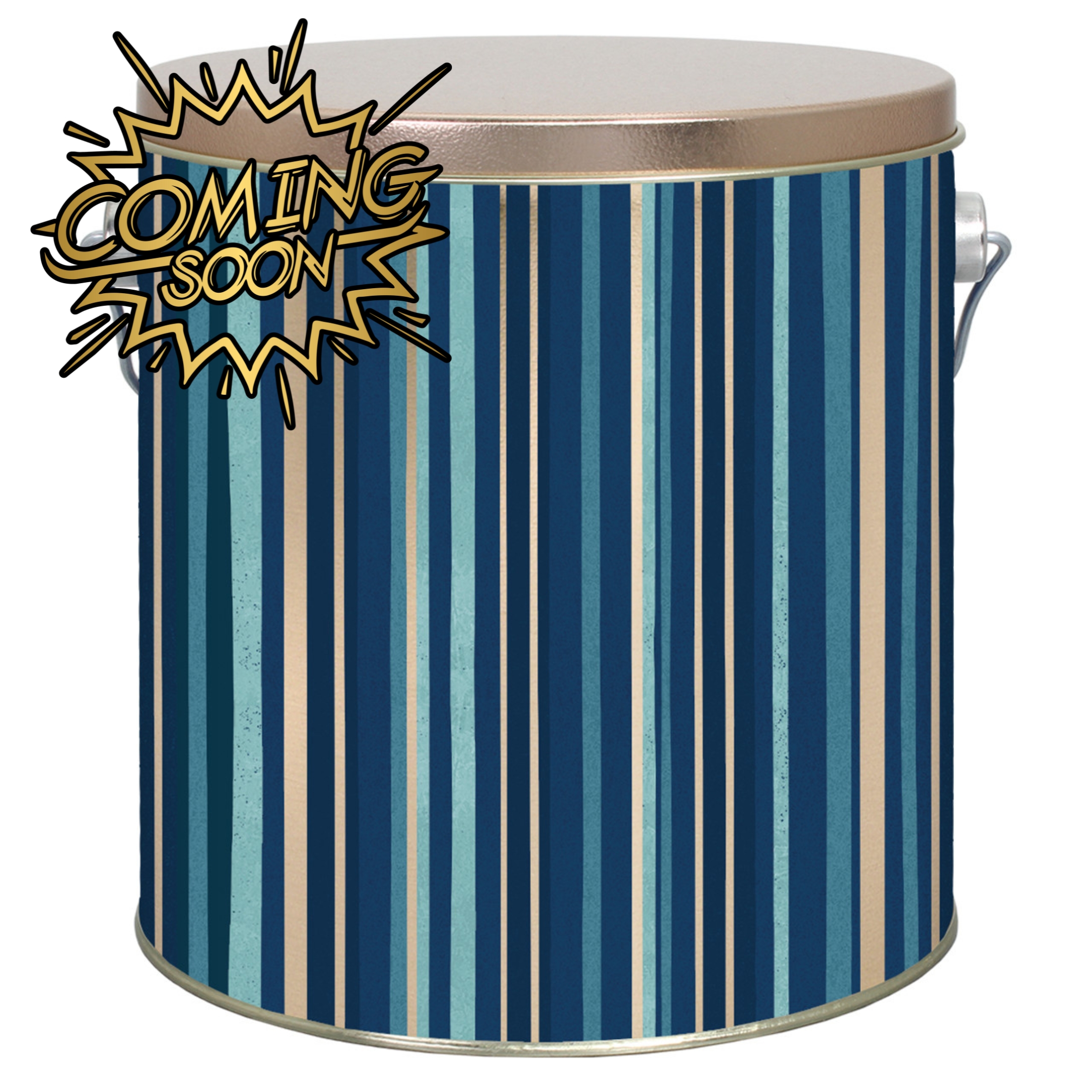 1 Gallon Indigo Stripes